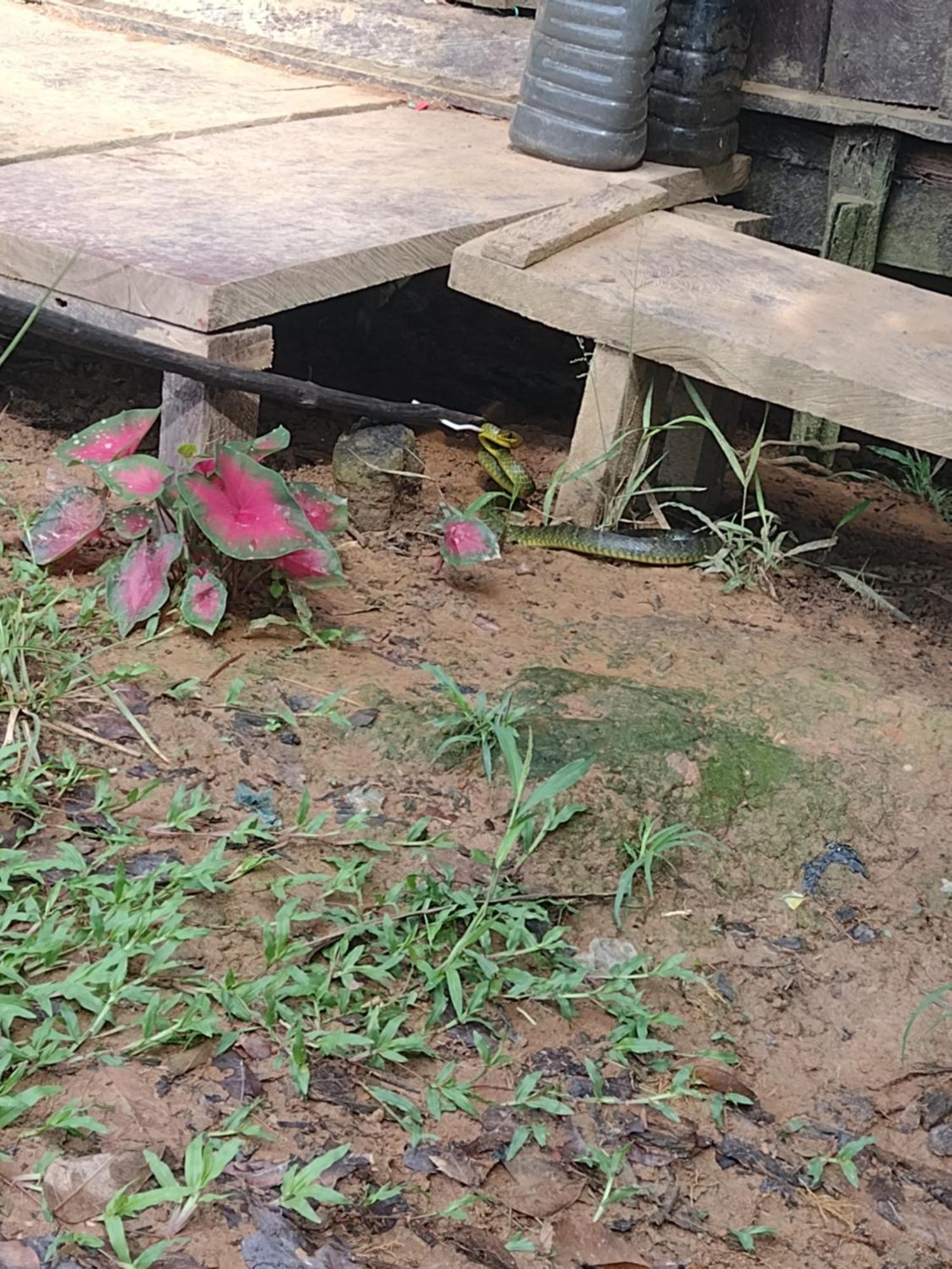 Resguardo Indigena Yagua Hotel Internado Santa Sofia Kültér fotó